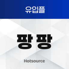 유입플 팡팡