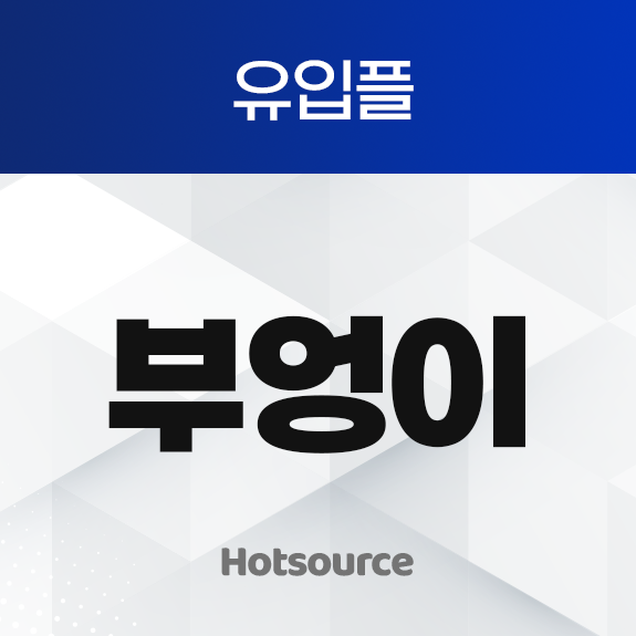 유입플 부엉이