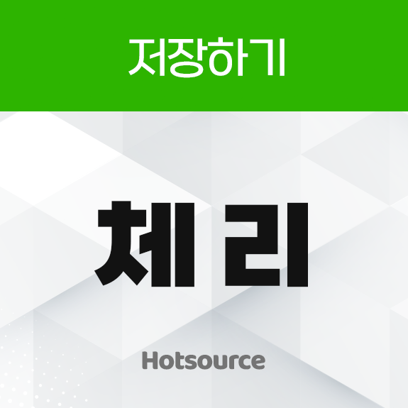 저장하기 체리