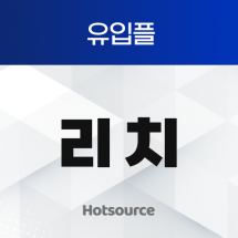 유입플 리치