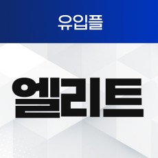 엘리트 유입플